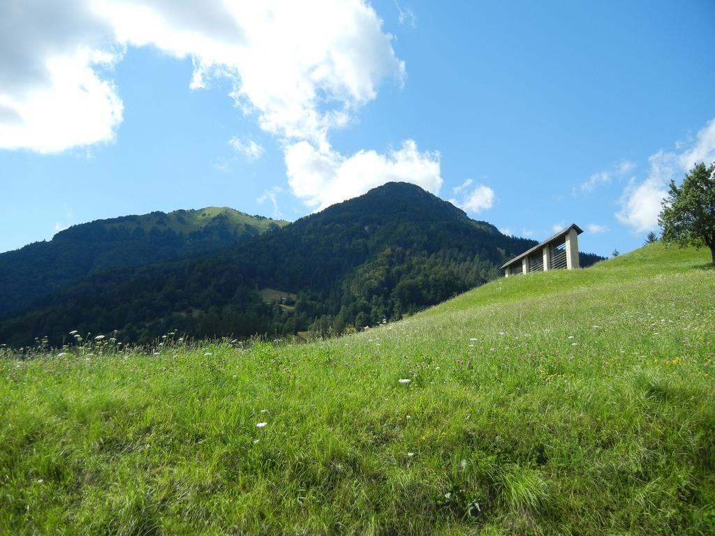 Guesthouse Macesen Spodnja Sorica Exterior photo